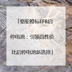 骆驼橙标EFB启停电池：引领高性价比启停电池新选择