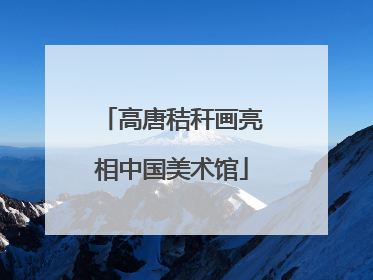 高唐秸秆画亮相中国美术馆