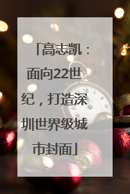 高志凯：面向22世纪，打造深圳世界级城市封面
