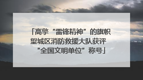 高擎“雷锋精神”的旗帜 望城区消防救援大队获评“全国文明单位”称号