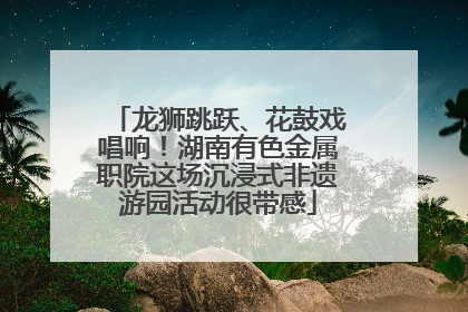 龙狮跳跃、花鼓戏唱响！湖南有色金属职院这场沉浸式非遗游园活动很带感