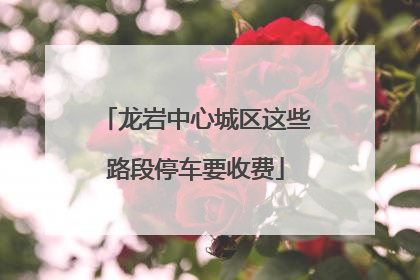 龙岩中心城区这些路段停车要收费