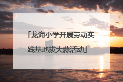 龙海小学开展劳动实践基地拔大蒜活动
