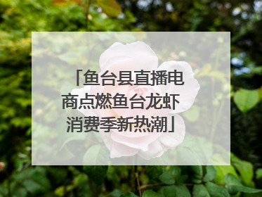 鱼台县直播电商点燃鱼台龙虾消费季新热潮