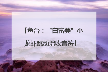 鱼台：“白富美”小龙虾跳动增收音符