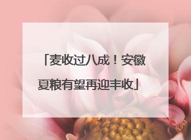 麦收过八成！安徽夏粮有望再迎丰收