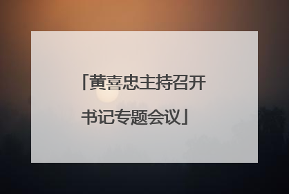 黄喜忠主持召开书记专题会议