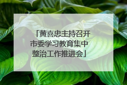 黄喜忠主持召开市委学习教育集中整治工作推进会