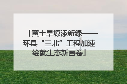 黄土旱塬添新绿——环县“三北”工程加速绘就生态新画卷