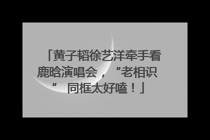 黄子韬徐艺洋牵手看鹿晗演唱会，“老相识” 同框太好嗑！