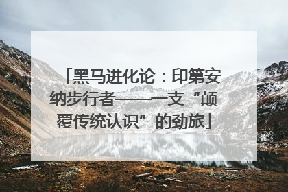 黑马进化论：印第安纳步行者——一支“颠覆传统认识”的劲旅