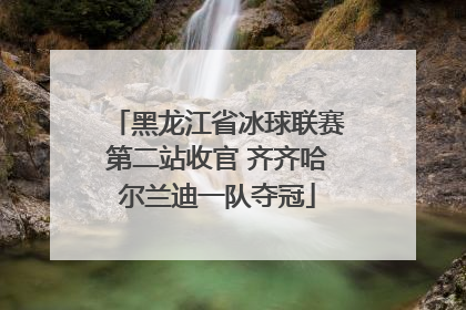 黑龙江省冰球联赛第二站收官 齐齐哈尔兰迪一队夺冠