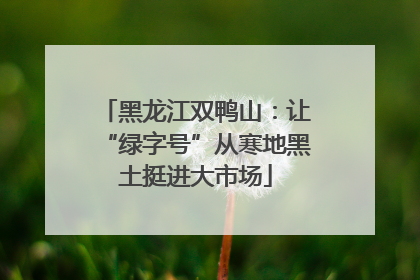 黑龙江双鸭山：让“绿字号”从寒地黑土挺进大市场
