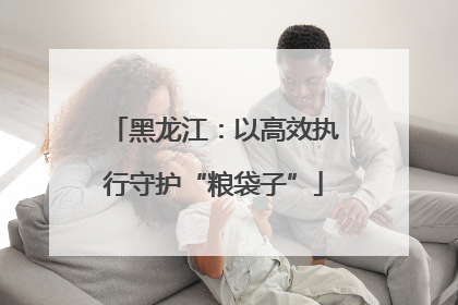 黑龙江：以高效执行守护“粮袋子”