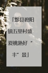 黟县碧阳镇五里村盛夏桃熟好“丰”景