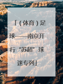 （体育）足球——南京开行“苏超”球迷专列