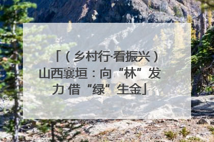 （乡村行·看振兴）山西襄垣：向“林”发力 借“绿”生金