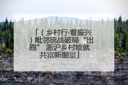 （乡村行·看振兴）毗邻统战破局“出圈” 浙沪乡村绘就共富新图景
