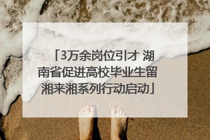 3万余岗位引才 湖南省促进高校毕业生留湘来湘系列行动启动