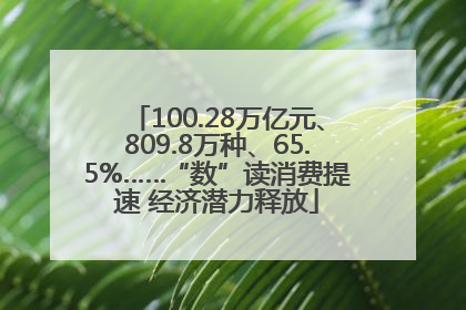 100.28万亿元、809.8万种、65.5%……“数”读消费提速 经济潜力释放