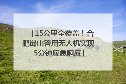 15公里全覆盖！合肥蜀山警用无人机实现5分钟应急响应