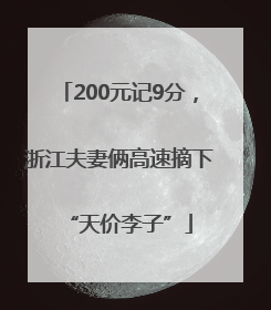 200元记9分，浙江夫妻俩高速摘下“天价李子”
