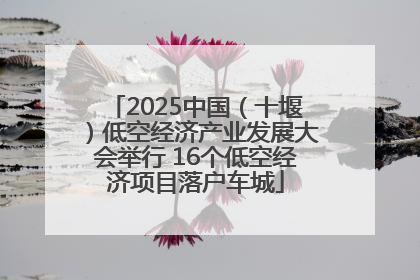 2025中国（十堰）低空经济产业发展大会举行 16个低空经济项目落户车城
