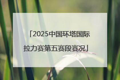 2025中国环塔国际拉力赛第五赛段赛况