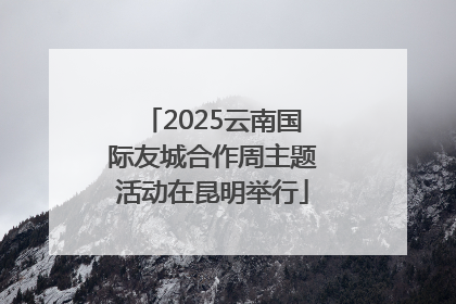 2025云南国际友城合作周主题活动在昆明举行
