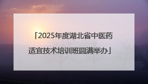 2025年度湖北省中医药适宜技术培训班圆满举办