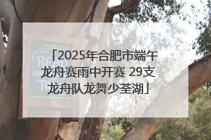 2025年合肥市端午龙舟赛雨中开赛 29支龙舟队龙舞少荃湖