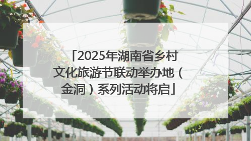 2025年湖南省乡村文化旅游节联动举办地（金洞）系列活动将启