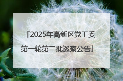2025年高新区党工委第一轮第二批巡察公告