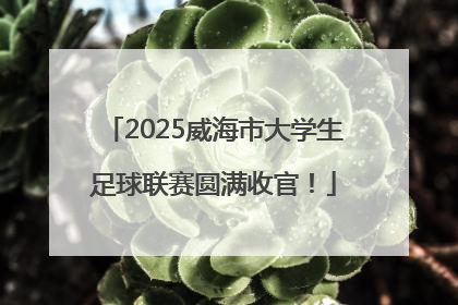 2025威海市大学生足球联赛圆满收官！