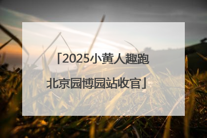 2025小黄人趣跑北京园博园站收官