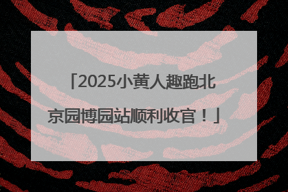2025小黄人趣跑北京园博园站顺利收官！