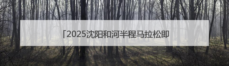 2025沈阳和河半程马拉松即将开赛 辽宁平安产险全程护航