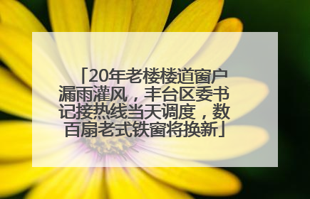 20年老楼楼道窗户漏雨灌风，丰台区委书记接热线当天调度，数百扇老式铁窗将换新