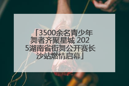 3500余名青少年舞者齐聚星城 2025湖南省街舞公开赛长沙站燃情启幕