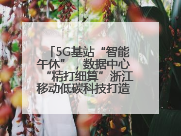 5G基站“智能午休”，数据中心“精打细算”浙江移动低碳科技打造“绿色流量”