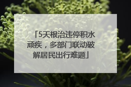 5天根治违停积水顽疾，多部门联动破解居民出行难题