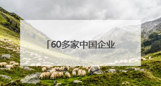 60多家中国企业亮相挪威海事展