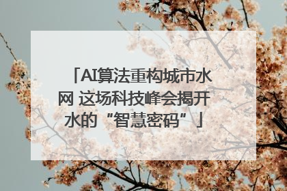 AI算法重构城市水网 这场科技峰会揭开水的“智慧密码”