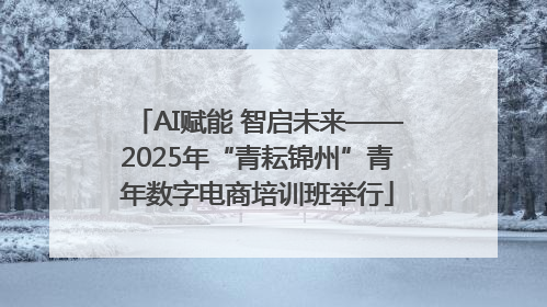 AI赋能 智启未来——2025年“青耘锦州”青年数字电商培训班举行