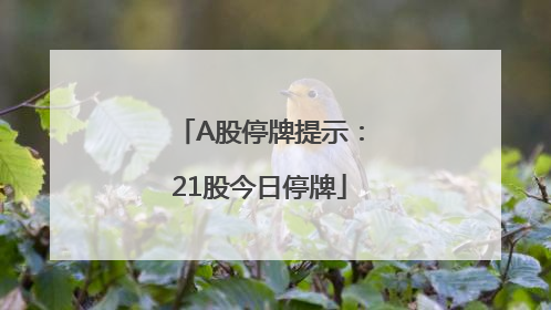 A股停牌提示：21股今日停牌