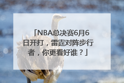 NBA总决赛6月6日开打，雷霆对阵步行者，你更看好谁？